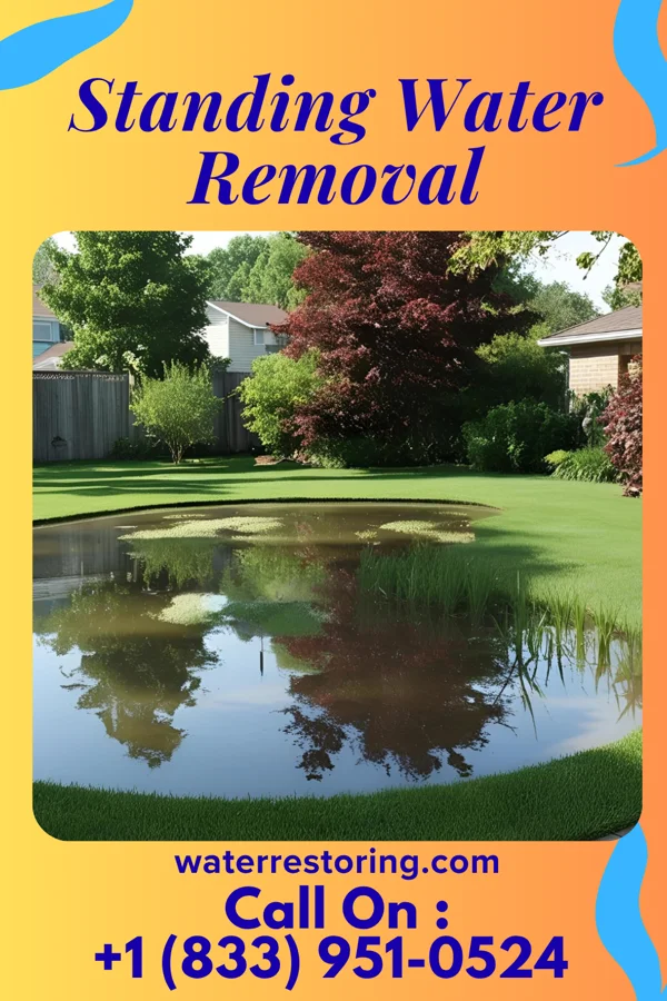 Standing Water Removal in Eagle Point, AL